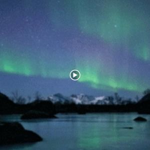 Meet your Posher, Rachael